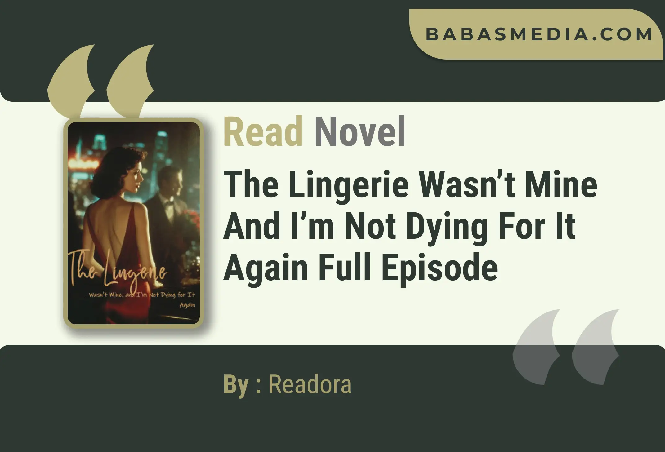 The Lingerie Wasn’t Mine and I’m Not Dying for It Again Novel By Readora Read Reviews