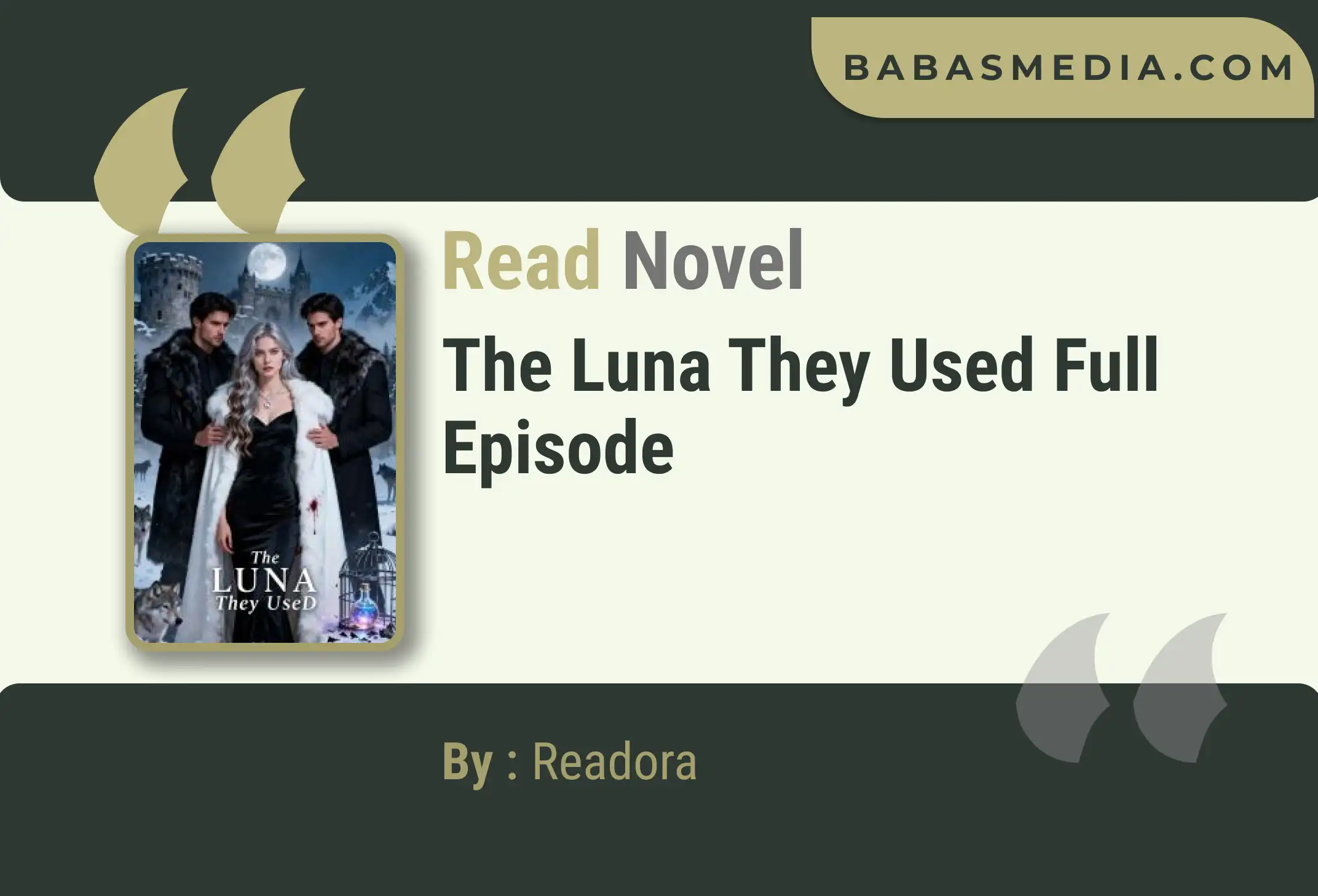 The Luna They Used Novel By Readora Read Reviews