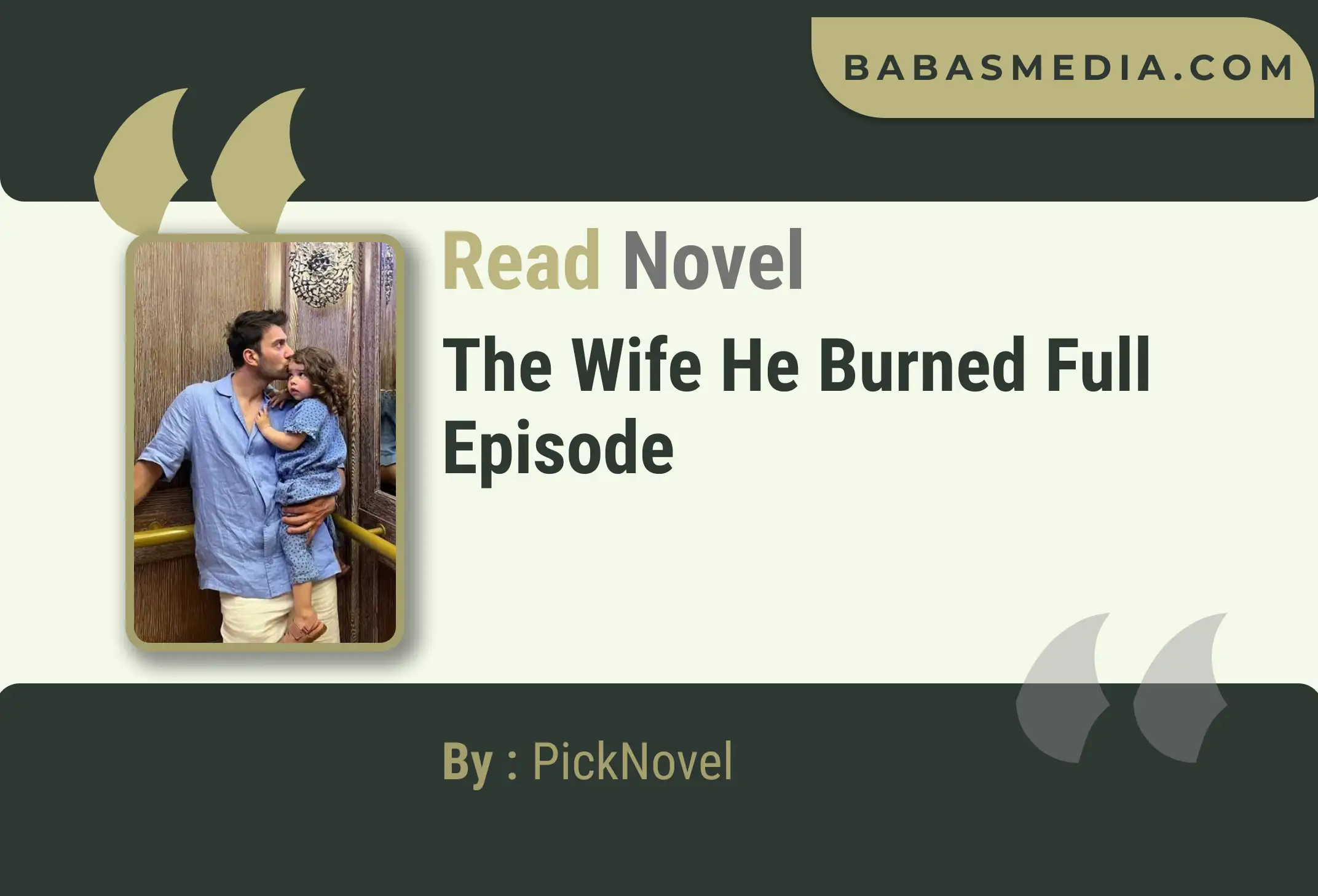 The Wife He Burned Novel By PickNovel Read Reviews