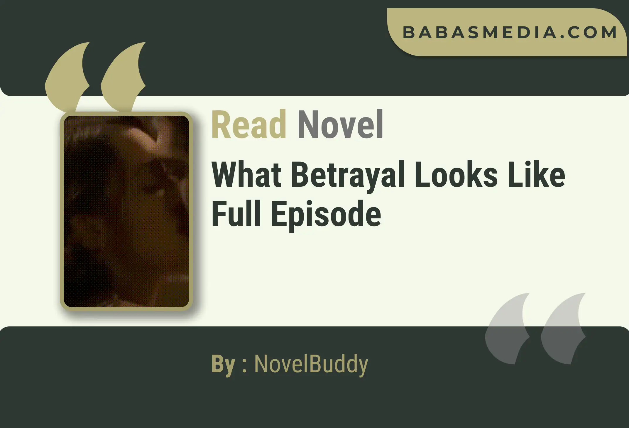 What Betrayal Looks Like Novel By NovelBuddy Read Reviews